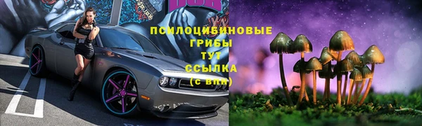 тгк Нефтекумск
