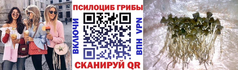 Псилоцибиновые грибы Psilocybine cubensis  где найти наркотики  МЕГА зеркало  Сокол 
